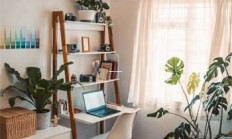 天涯创业论坛高手贴：洞察创业宫的经典讨论